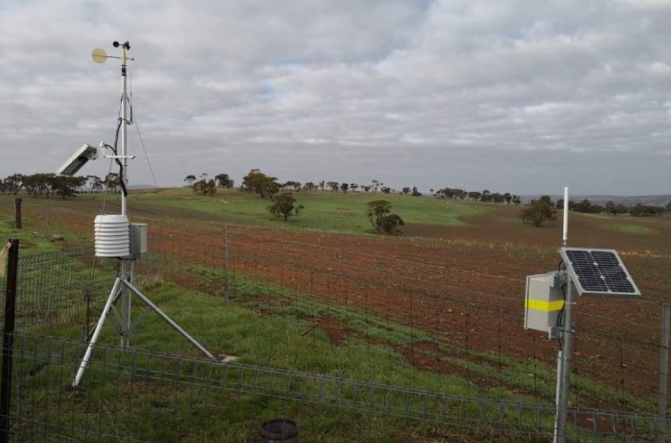 altai-enable-smart-farming-in-australia-krysp-wireless